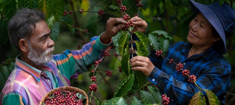 5 reasons to choose Fairtrade coffee even in a tough economic climate